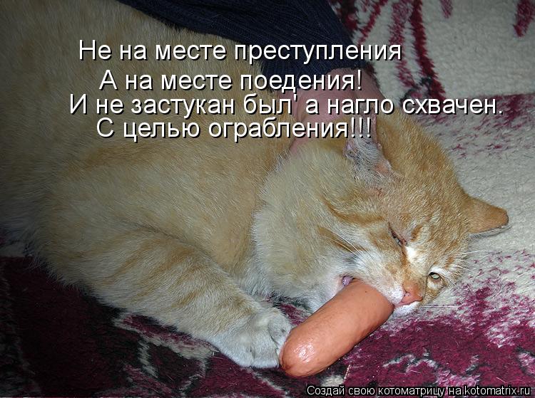 Не на месте преступления А на месте поедения! И не застукан был' а нагло схвачен. С целью ограбления!... Котоматрица: Не на месте преступления А на месте поедения! И не застукан был' а нагло схвачен. С целью ограбления!!!