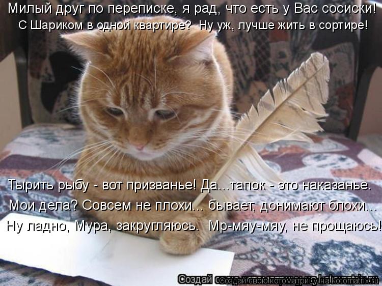 Милый друг по переписке, я рад, что есть у Вас сосиски! С Шариком в одной квартире? Ну уж, лучше жит... Котоматрица: Милый друг по переписке, я рад, что есть у Вас сосиски! С Шариком в одной квартире? Ну уж, лучше жить в сортире! Тырить рыбу - вот призванье! Да.
