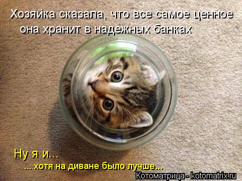 Хозяйка сказала, что все самое ценное она хранит в надежных банках Ну я и... ... хотя на диване был... Котоматрица: Хозяйка сказала, что все самое ценное она хранит в надежных банках Ну я и... ... хотя на диване было лучше...