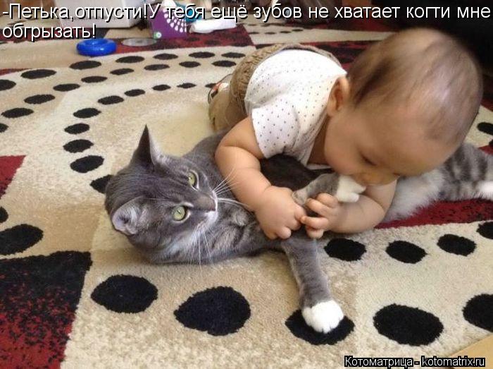 Котоматрица: -Петька,отпусти!У тебя ещё зубов не хватает когти мне обгрызать!