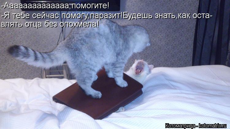 Котоматрица: -Аааааааааааааа,помогите! -Я тебе сейчас помогу,паразит!Будешь знать,как оста- влять отца без опохмела!