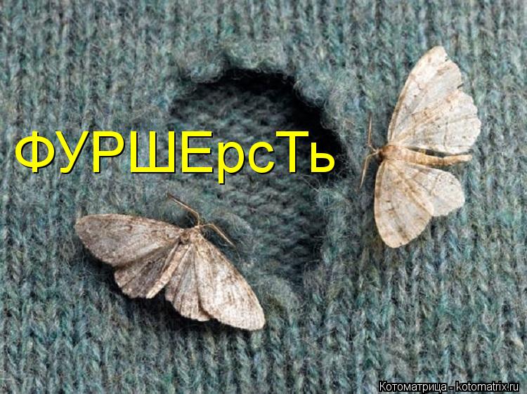 Котоматрица: ФУРШЕрсТь