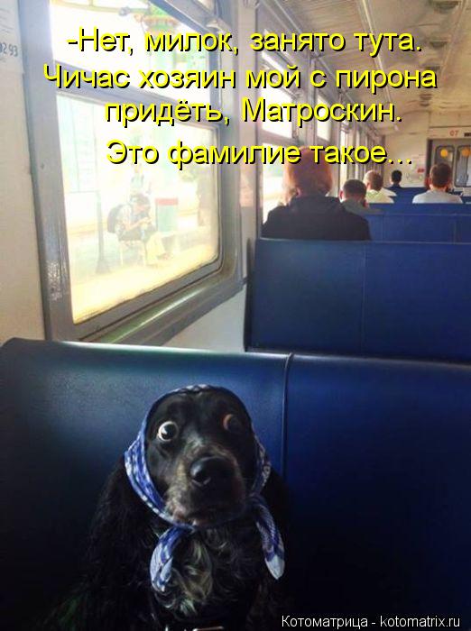 -Нет, милок, занято тута. Чичас хозяин мой с пирона придёть, Матроскин. Это фамилие такое...... Котоматрица: -Нет, милок, занято тута. Чичас хозяин мой с пирона придёть, Матроскин. Это фамилие такое...