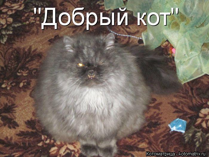 "Добрый кот"... Котоматрица: "Добрый кот"