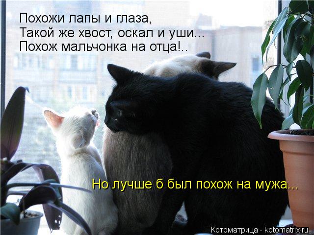 Похожи лапы и глаза, Такой же хвост, оскал и уши... Похож мальчонка на отца!.. Но лучше б был похож ... Котоматрица: Похожи лапы и глаза, Такой же хвост, оскал и уши... Похож мальчонка на отца!.. Но лучше б был похож на мужа...