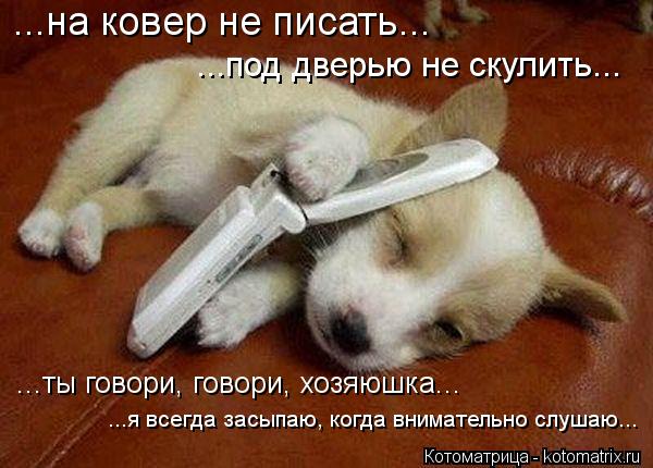 Котоматрица: ...ты говори, говори, хозяюшка... ...я всегда засыпаю, когда внимательно слушаю... ...на ковер не писать... ...под дверью не скулить...