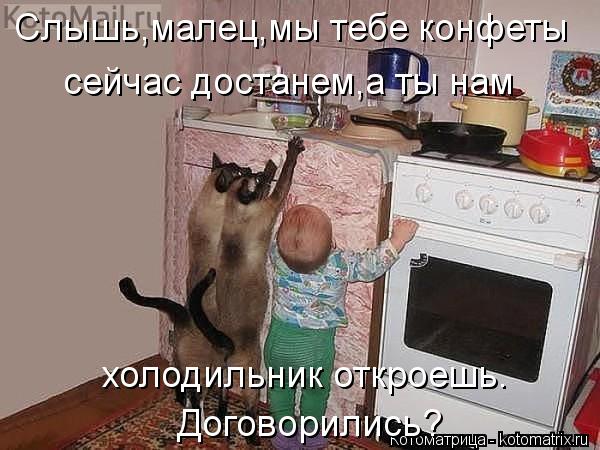 Котоматрица: Слышь,малец,мы тебе конфеты  сейчас достанем,а ты нам холодильник откроешь. Договорились?