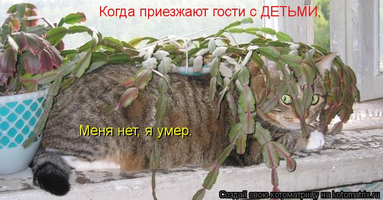 Когда приезжают гости с ДЕТЬМИ, Меня нет, я умер.... Котоматрица: Когда приезжают гости с ДЕТЬМИ, Меня нет, я умер.