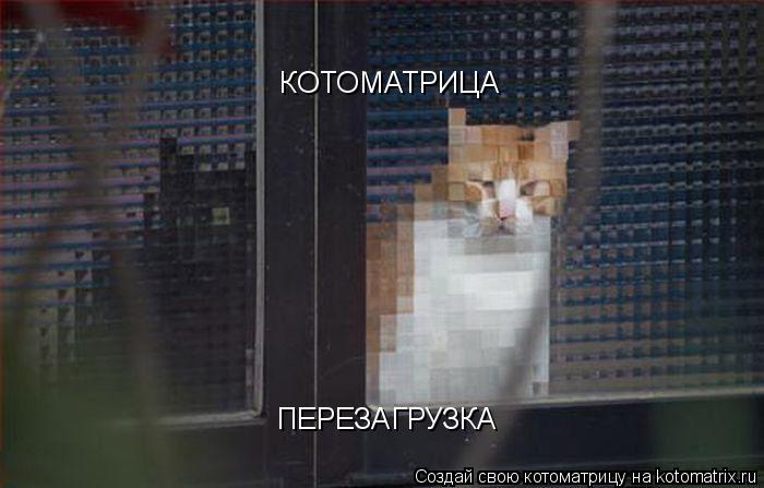 КОТОМАТРИЦА ПЕРЕЗАГРУЗКА... Котоматрица: КОТОМАТРИЦА ПЕРЕЗАГРУЗКА