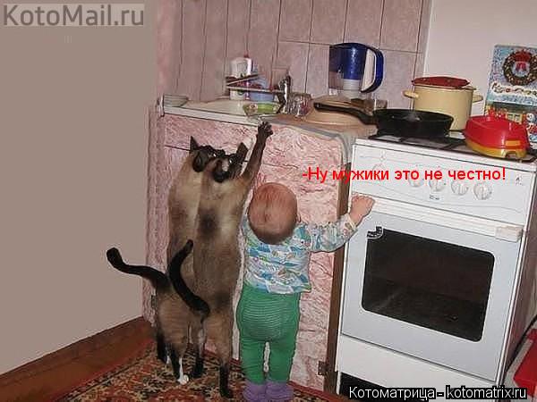 -Ну мужики это не честно!... Котоматрица: -Ну мужики это не честно!
