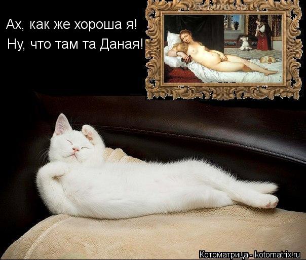Котоматрица: Ах, как же хороша я! Ну, что там та Даная!