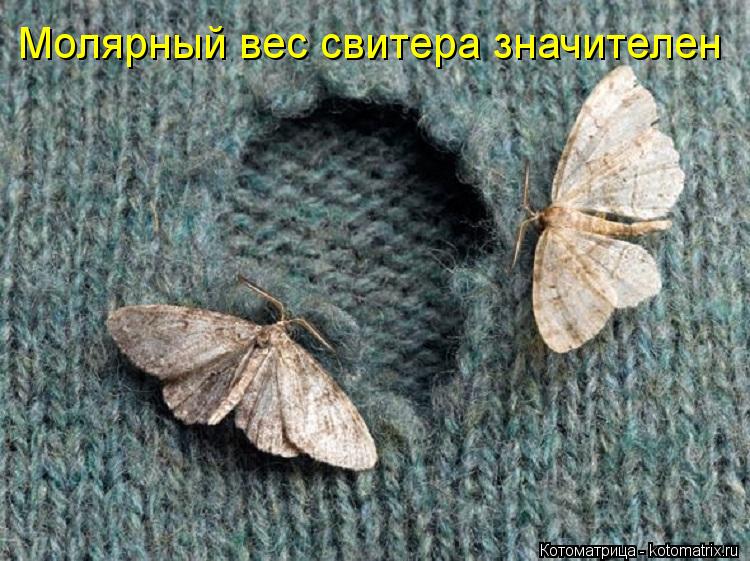 Котоматрица: Молярный вес свитера значителен