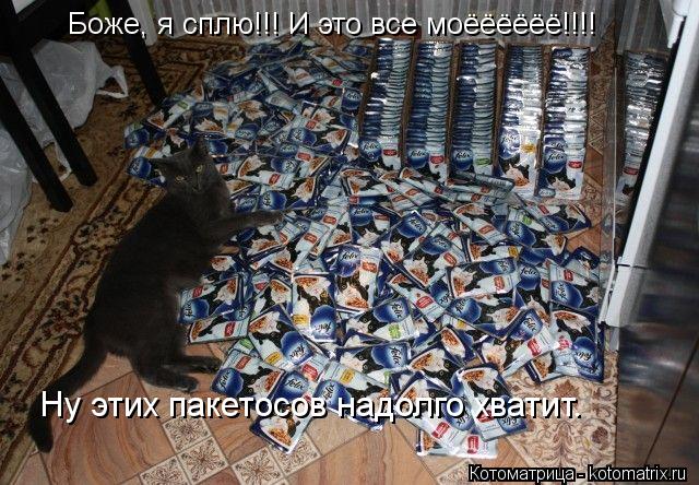 Боже, я сплю!!! И это все моёёёёёё!!!! Ну этих пакетосов надолго хватит.... Котоматрица: Боже, я сплю!!! И это все моёёёёёё!!!! Ну этих пакетосов надолго хватит.