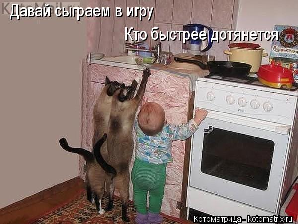 Котоматрица: Давай сыграем в игру Кто быстрее дотянется