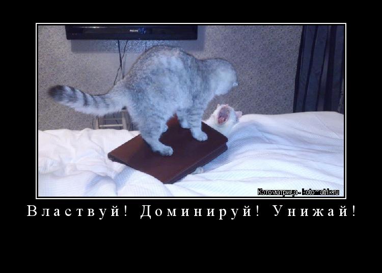 Властвуй! Доминируй! Унижай! ... Котоматрица: Властвуй! Доминируй! Унижай!