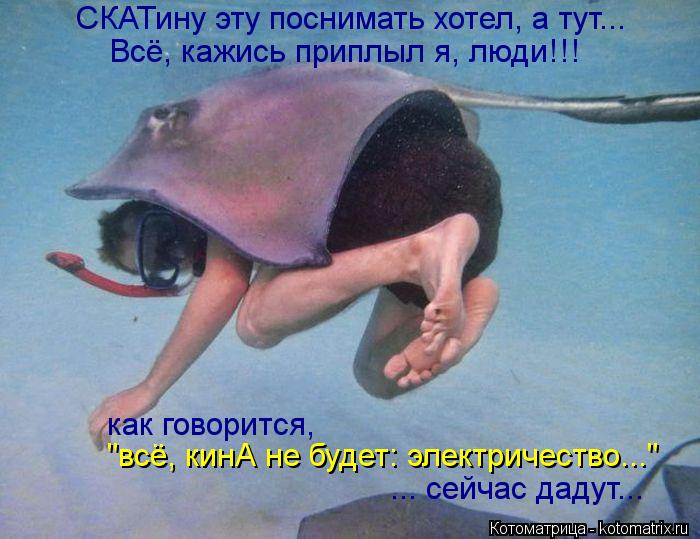 СКАТину эту поснимать хотел, а тут... Всё, кажись приплыл я, люди!!! "всё, кинА не будет: электричест... Котоматрица: СКАТину эту поснимать хотел, а тут... Всё, кажись приплыл я, люди!!! "всё, кинА не будет: электричество..." ... сейчас дадут... как говорится,
