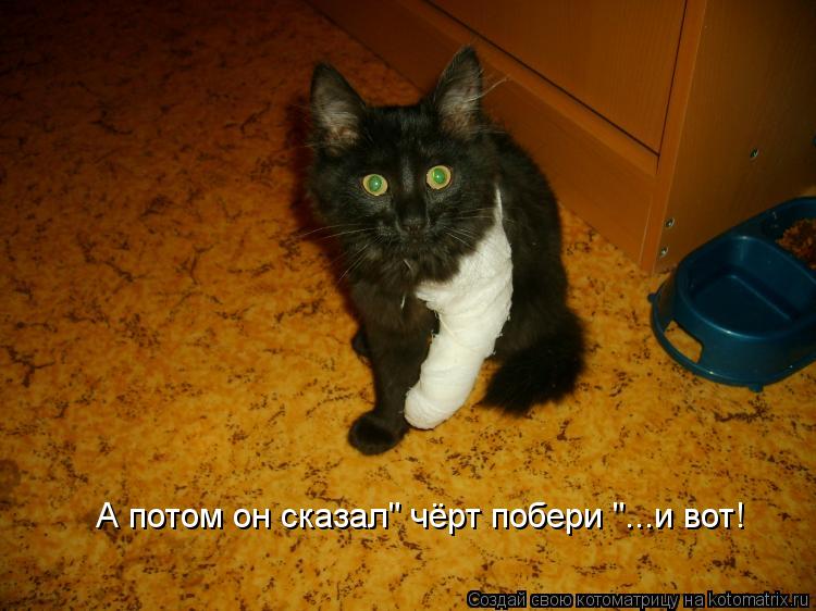 А потом он сказал" чёрт побери "...и вот!... Котоматрица: А потом он сказал" чёрт побери "...и вот!