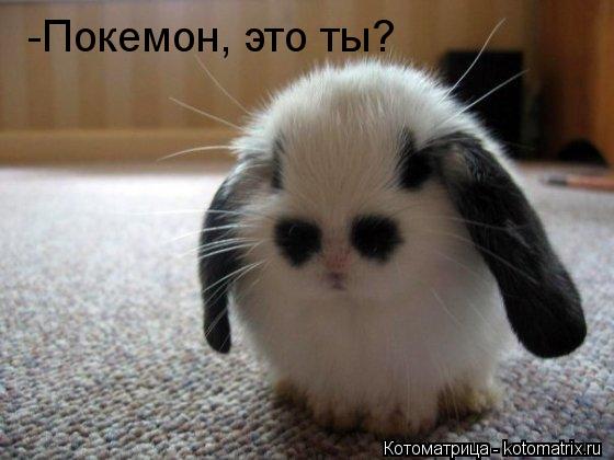 -Покемон, это ты?... Котоматрица: -Покемон, это ты?