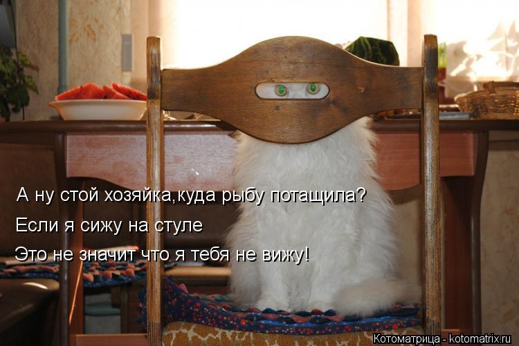 Котоматрица: А ну стой хозяйка,куда рыбу потащила? Если я сижу на стуле Это не значит что я тебя не вижу!