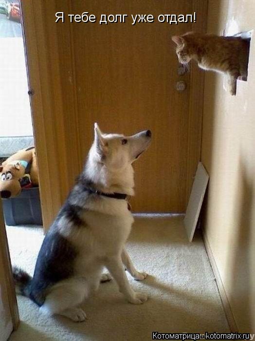 Я тебе долг уже отдал!... Котоматрица: Я тебе долг уже отдал!