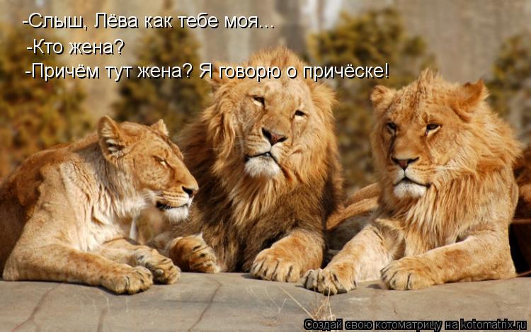 -Кто жена? -Причём тут жена? Я говорю о причёске! -Слыш, Лёва как тебе моя...... Котоматрица: -Кто жена? -Причём тут жена? Я говорю о причёске! -Слыш, Лёва как тебе моя...