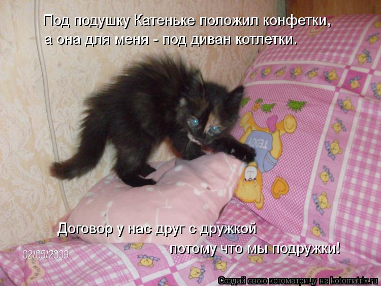 а она для меня - под диван котлетки. Под подушку Катеньке положил конфетки, потому что мы подружки! Д... Котоматрица: а она для меня - под диван котлетки. Под подушку Катеньке положил конфетки, потому что мы подружки! Договор у нас друг с дружкой