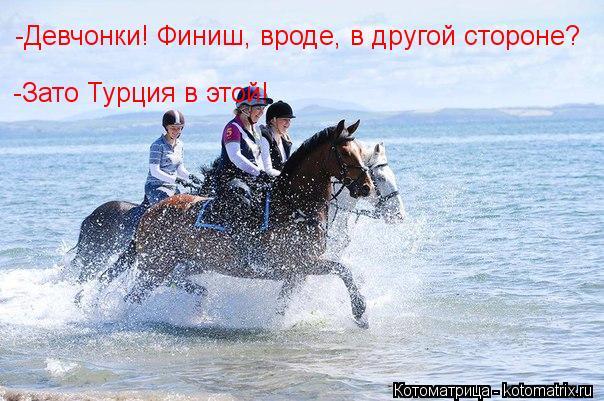 Котоматрица: -Девчонки! Финиш, вроде, в другой стороне? -Зато Турция в этой!
