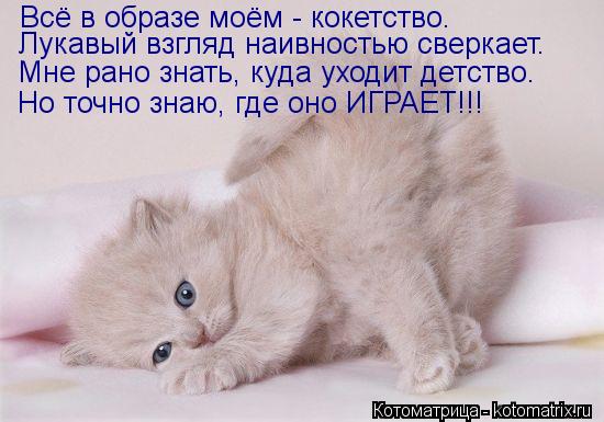 Всё в образе моём - кокетство. Лукавый взгляд наивностью сверкает. Мне рано знать, куда уходит детств... Котоматрица: Всё в образе моём - кокетство. Лукавый взгляд наивностью сверкает. Мне рано знать, куда уходит детство. Но точно знаю, где оно ИГРАЕТ!!!