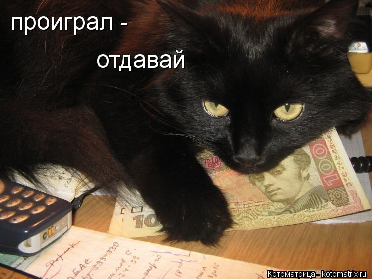 проиграл - отдавай... Котоматрица: проиграл - отдавай