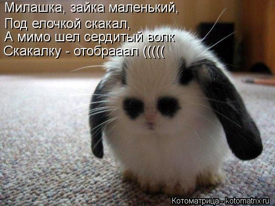 Милашка, зайка маленький, А мимо шел сердитый волк Под елочкой скакал, Скакалку - отобрааал (((((... Котоматрица: Милашка, зайка маленький, А мимо шел сердитый волк Под елочкой скакал, Скакалку - отобрааал (((((