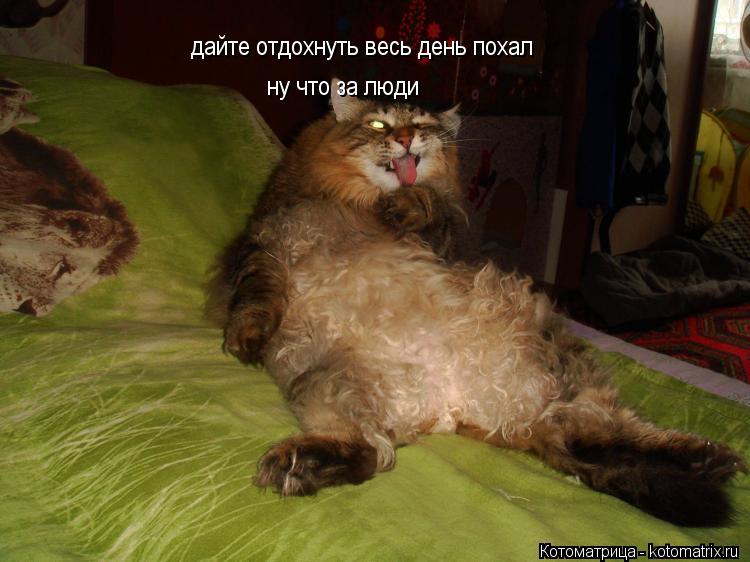 дайте отдохнуть весь день похал ну что за люди... Котоматрица: дайте отдохнуть весь день похал ну что за люди
