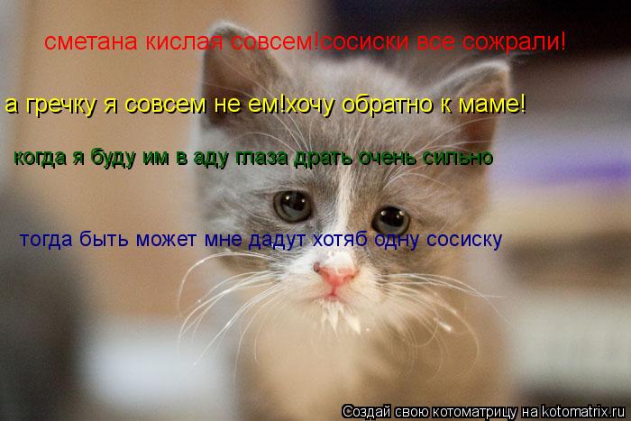 сметана кислая совсем!сосиски все сожрали! а гречку я совсем не ем!хочу обратно к маме! когда я буду ... Котоматрица: сметана кислая совсем!сосиски все сожрали! а гречку я совсем не ем!хочу обратно к маме! когда я буду им в аду глаза драть очень сильно тогда