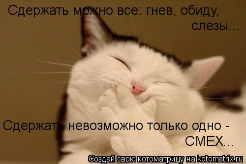 Сдержать можно все: гнев, обиду, слезы... Сдержать невозможно только одно - СМЕХ...... Котоматрица: Сдержать можно все: гнев, обиду, слезы... Сдержать невозможно только одно - СМЕХ...