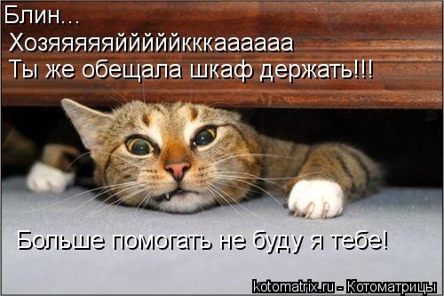 Котоматрица: Блин... Хозяяяяяйййййкккаааааа Ты же обещала шкаф держать!!! Больше помогать не буду я тебе!