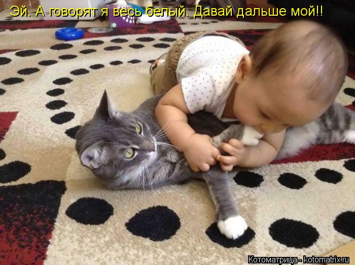 Эй. А говорят я весь белый. Давай дальше мой!!... Котоматрица: Эй. А говорят я весь белый. Давай дальше мой!!