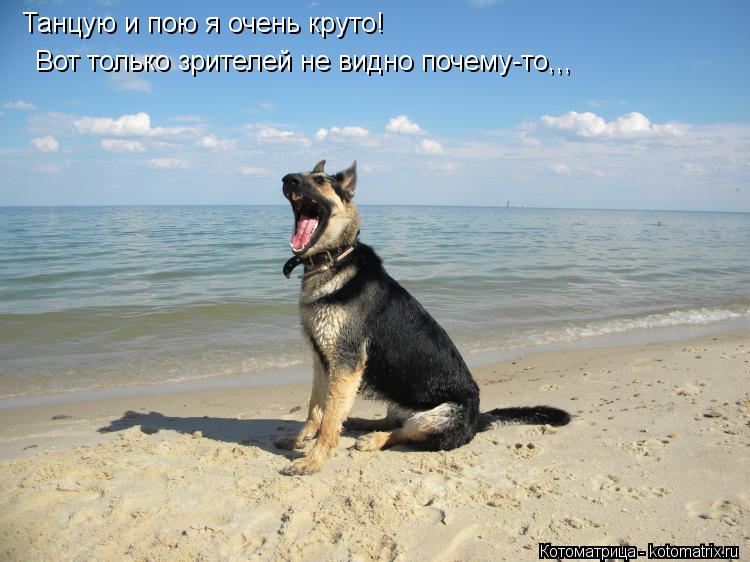 Танцую и пою я очень круто! Вот только зрителей не видно почему-то,,,... Котоматрица: Танцую и пою я очень круто! Вот только зрителей не видно почему-то,,,