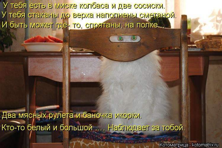 У тебя есть в миске колбаса и две сосиски. У тебя стаканы до верха наполнены сметаной. И быть может г... Котоматрица: У тебя есть в миске колбаса и две сосиски. У тебя стаканы до верха наполнены сметаной. И быть может где- то, спрятаны, на полке… Два мясных ру