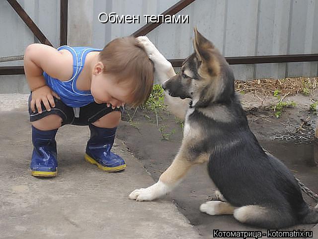 Обмен телами... Котоматрица: Обмен телами