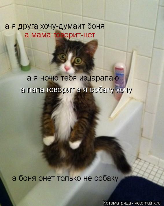 а я друга хочу-думаит боня а мама говорит-нет а я ночю тебя изцарапаю! а папа говорит а я собаку хочу... Котоматрица: а я друга хочу-думаит боня а мама говорит-нет а я ночю тебя изцарапаю! а папа говорит а я собаку хочу а боня онет только не собаку