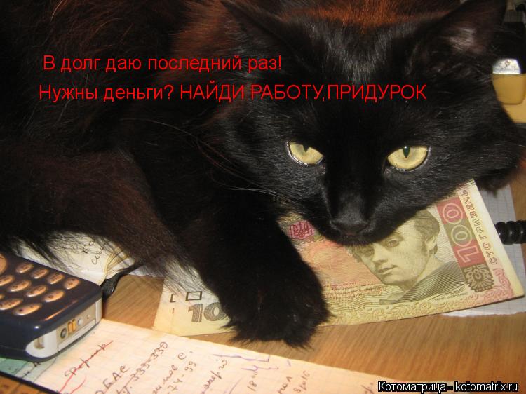 В долг даю последний раз! Нужны деньги? НАЙДИ РАБОТУ,ПРИДУРОК... Котоматрица: В долг даю последний раз! Нужны деньги? НАЙДИ РАБОТУ,ПРИДУРОК