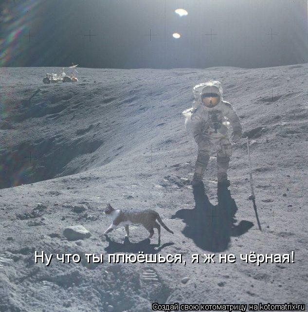 Ну что ты плюёшься, я ж не чёрная!... Котоматрица: Ну что ты плюёшься, я ж не чёрная!