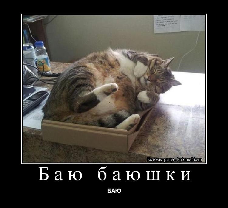 Котоматрица: Баю баюшки БАЮ