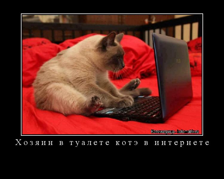 Хозяин в туалете котэ в интернете ... Котоматрица: Хозяин в туалете котэ в интернете