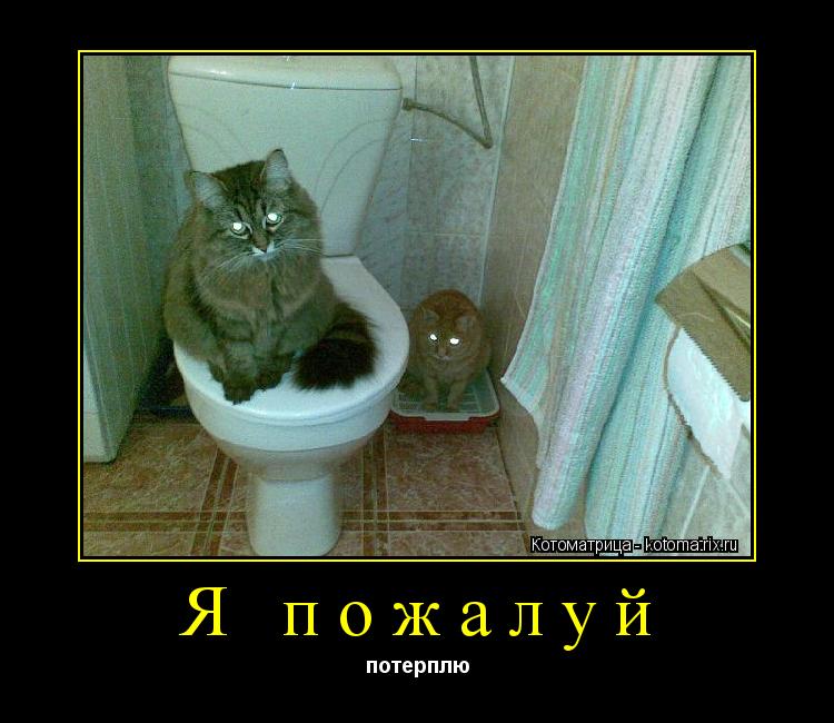 Котоматрица: Я пожалуй потерплю