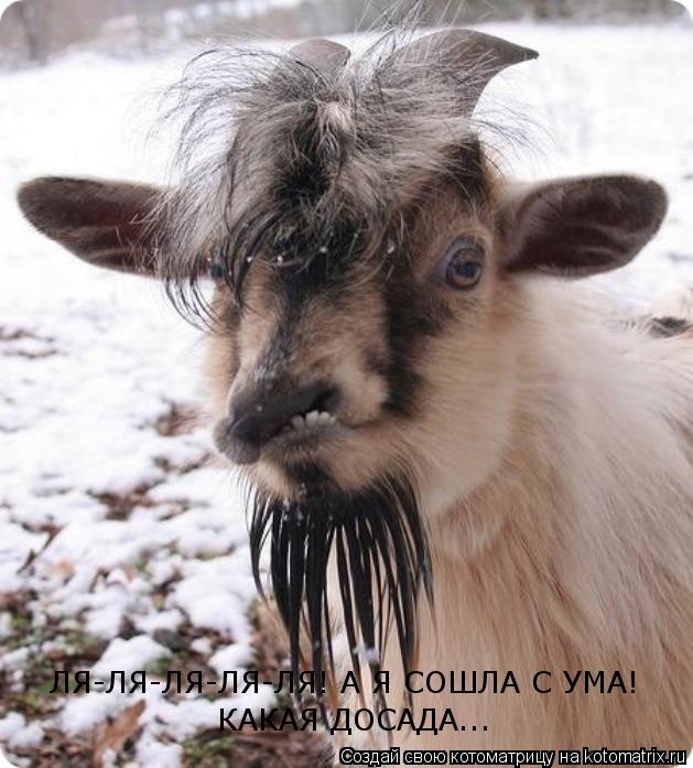 ЛЯ-ЛЯ-ЛЯ-ЛЯ-ЛЯ! А Я СОШЛА С УМА! КАКАЯ ДОСАДА...... Котоматрица: ЛЯ-ЛЯ-ЛЯ-ЛЯ-ЛЯ! А Я СОШЛА С УМА! КАКАЯ ДОСАДА...