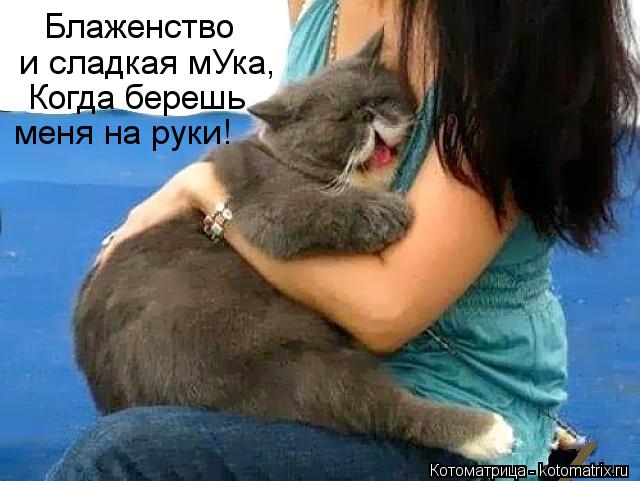 Блаженство и сладкая мУка, Когда берешь меня на руки!... Котоматрица: Блаженство и сладкая мУка, Когда берешь меня на руки!