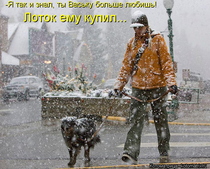 Котоматрица: -Я так и знал, ты Ваську больше любишь! Лоток ему купил...