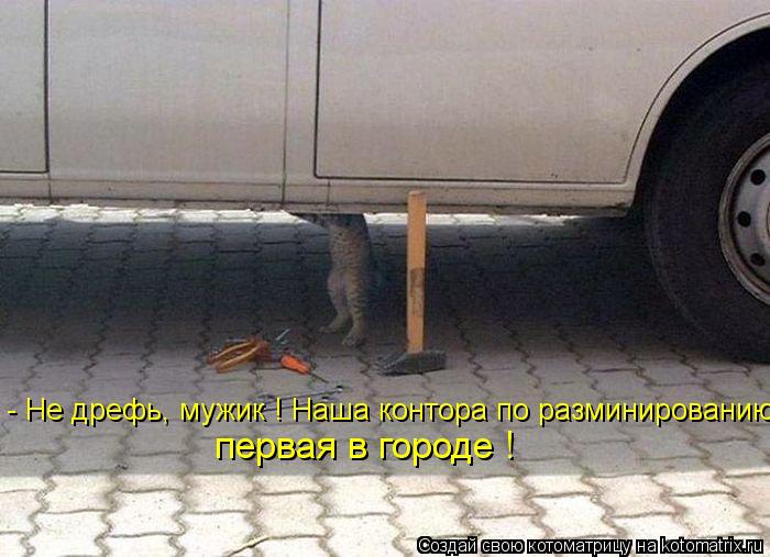 Котоматрица: - Не дрефь, мужик ! Наша контора по разминированию первая в городе !