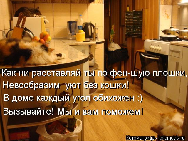 Котоматрица: Как ни расставляй ты по фен-шую плошки,  Невообразим  уют без кошки!  В доме каждый угол обихожен :)  Вызывайте! Мы и вам поможем!