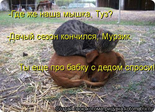 -Где же наша мышка, Туз? -Дачый сезон кончился, Мурзик. Ты еще про бабку с дедом спроси!... Котоматрица: -Где же наша мышка, Туз? -Дачый сезон кончился, Мурзик. Ты еще про бабку с дедом спроси!